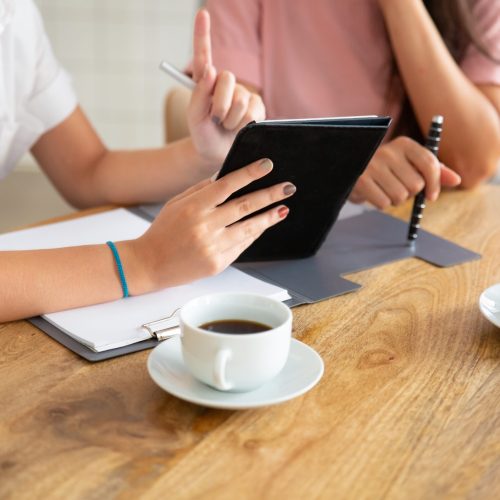 Business ladies meeting at table